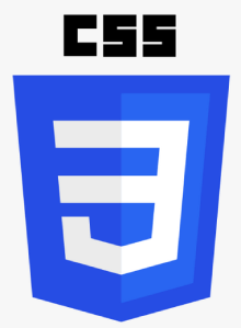 CSS Training in Sharjah