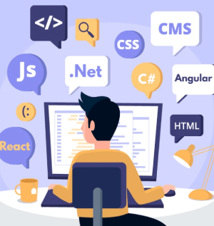 Web Development Training in Sharjah