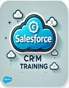 SalesForce Training in Sharjah